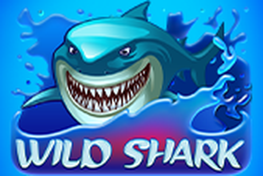 Wild Shark
