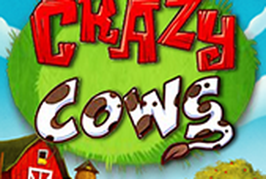 Crazy Cows