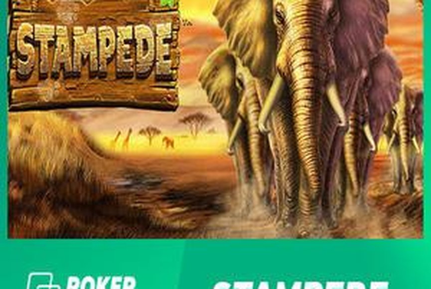 Stampede