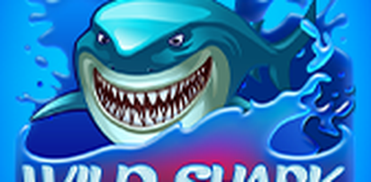 Wild Shark