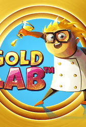 Gold Lab