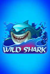 Wild Shark