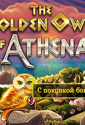 The Golden Owl of Athena