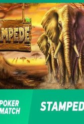 Stampede