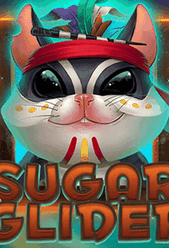 Sugar Glider