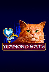 Diamond Cats