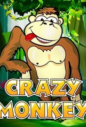 Crazy Monkey