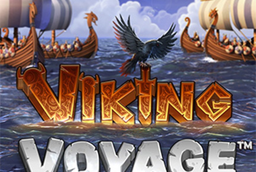 Viking Voyage